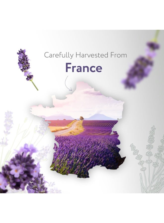 HBNO California Bottled Dutch Lavender Essential Oil 4 fl oz (120ml) - Natural Lavender Oil for Skin, Perfect for Cleaning, Aromatherapy, DIY & Diffuser - Image 3